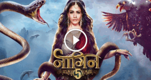 Naagin 5 Watch Online